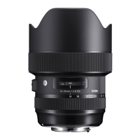 Preview: Sigma 14-24mm F2.8 DG HSM
