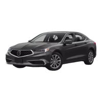 Preview: Acura 2019 TLX