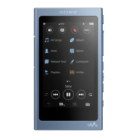 Preview: Sony NW-A45
