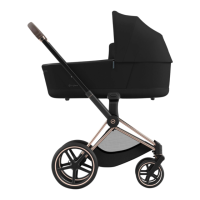 Preview: CYBEX PRIAM series