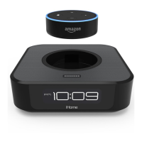 Preview: iHome iAVS1