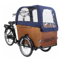 Preview: Babboe Big
