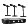 Microphone system Logo