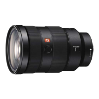 Preview: Sony SEL2470GM