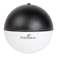 Preview: EYENIMAL ROLLING BALL