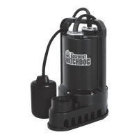 Preview: Basement Watchdog SP-33T