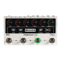 Preview: Mooer PREAMP LIVE