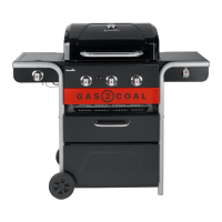 Preview: Char-Broil Gas2Coal
