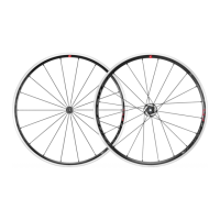 Preview: Fulcrum Racing 5