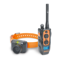 Preview: Dogtra 2700T&B