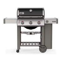 Preview: Weber GENESIS II E-310