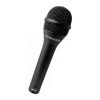Microphone Logo