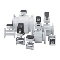 Preview: Siemens SITRANS F M MAGFLO