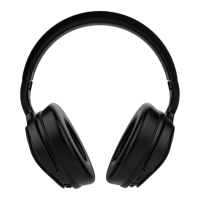 Preview: Monoprice BT-300ANC