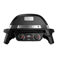 Preview: Weber PULSE 2000