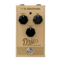 Preview: TC Electronic DRIP SPRING REVERB