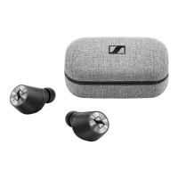 Preview: Momentum True Wireless