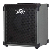 Preview: Peavey Max 100