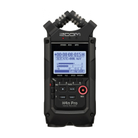 Preview: Zoom H4n Pro