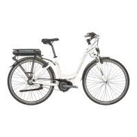 Preview: Shimano STEPS E6000