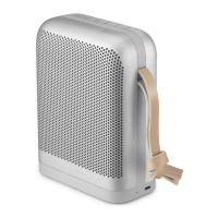 Preview: Bang & Olufsen Beoplay P6