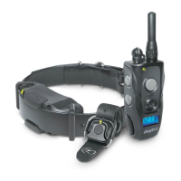 Preview: Dogtra 1900S HANDSFREE