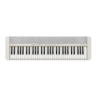 Preview: Casio Casiotone CT-S1