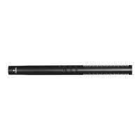 Preview: RODE Microphones NTG4+