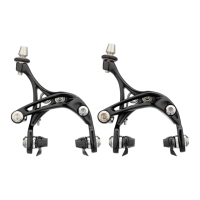 Preview: CAMPAGNOLO Brakes
