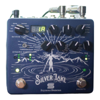 Preview: Duncan SILVER LAKE