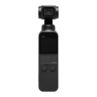 Preview: dji Osmo Pocket