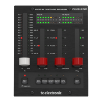 Preview: TC Electronic DVR250-DT