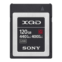 Preview: Sony XQD QD Series