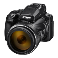 Preview: Nikon Coolpix P1000