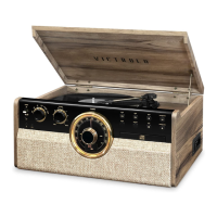 Preview: Victrola VTA-270B