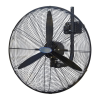 Fan Logo