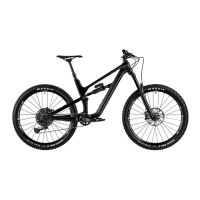 Preview: Canyon SPECTRAL 2019