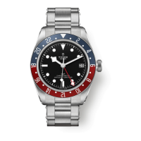 Preview: TUDOR GMT
