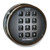 Preview: AMSEC ESL10XL