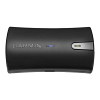 Preview: Garmin GLO 2