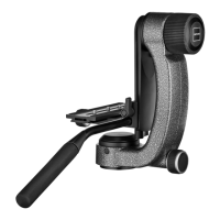 Preview: Gitzo Fluid Gimbal Head