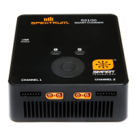 Preview: Spektrum S2100