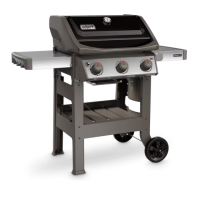 Preview: Weber Spirit II E310