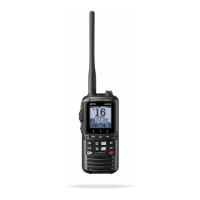 Preview: Standard Horizon HX890