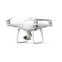 Preview: dji Phantom 4 RTK