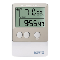 Preview: ECOWITT DS-102