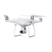 Preview: dji Phantom 4 Pro V2.0