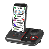 Preview: Swissvoice C50s