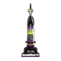 Preview: Bissell POWERCLEAN 2494 SERIES