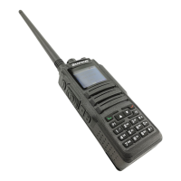 Preview: Baofeng DM-1701
